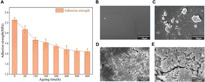 Clarifying the chemical reactions of the weakening of adhesion between epoxy resin and aluminum by molecular dynamic simulation and experiment
